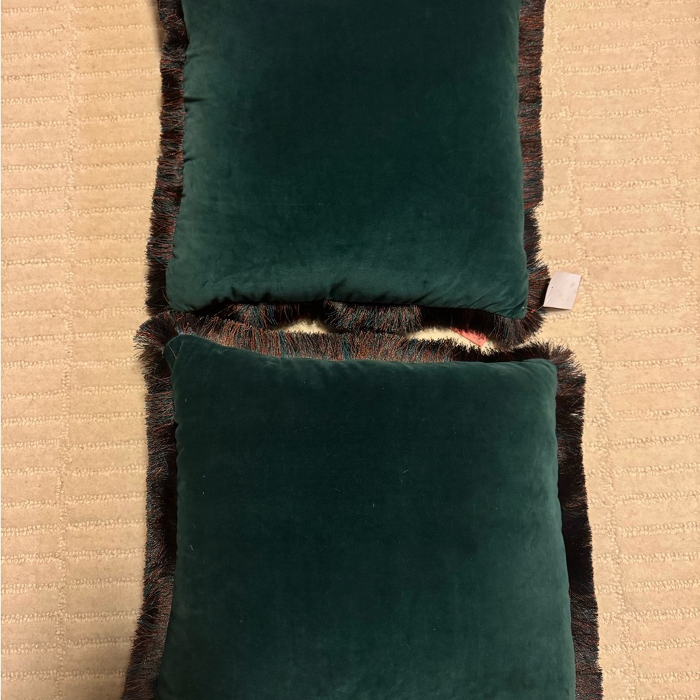 2 Luxurious Green Velvet Pillows